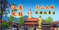 日韩操穴视频江苏无锡灵山大佛旅游风景区